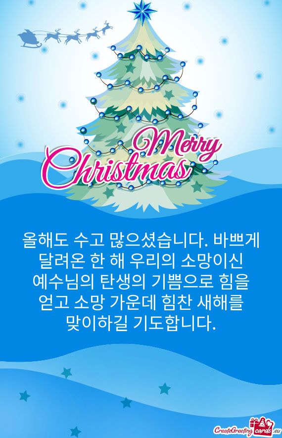 올해도 수고 많으셨습니다. 바쁘게 달려온 한 해 우리의 소망이신 예수님의